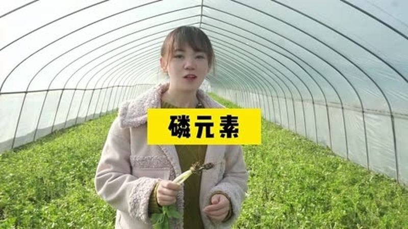 磷肥有哪些