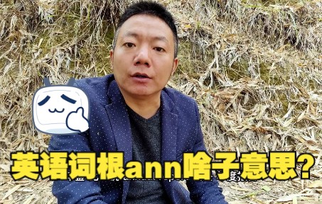 Ann怎么读音发音