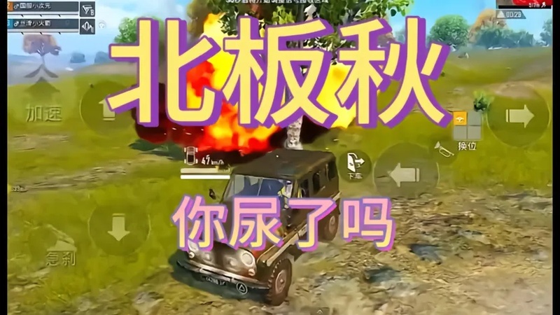 板板是什么意思