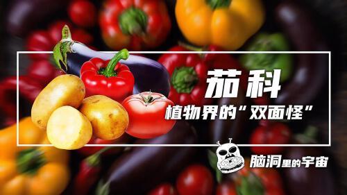 茄科植物有哪些(06/26更新)