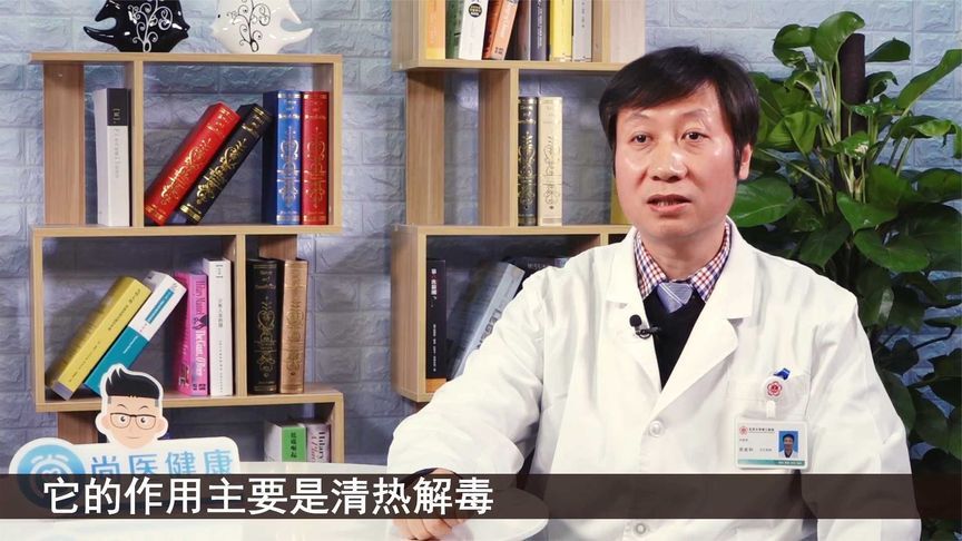 蒲公英根茶的作用与功效(蒲公英根茶的功效与作用及食用方法)