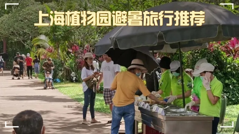 求到上海植物园的路线