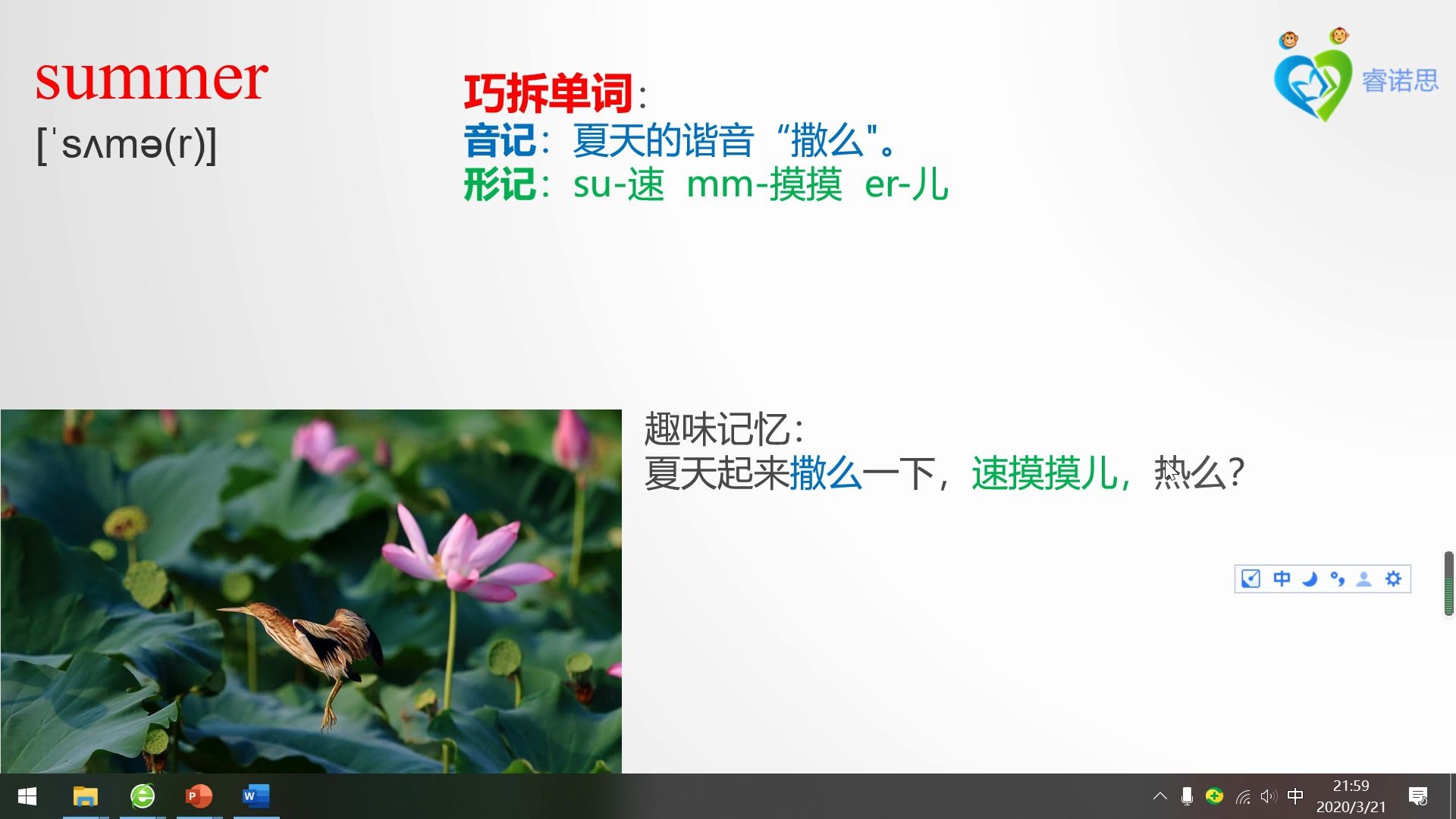 summer英文怎么读