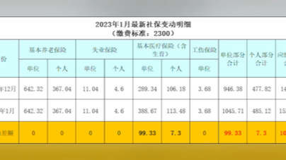 代理记账工资水平 1000字以内介绍