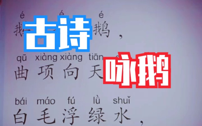 咏鹅古诗注音(鹅鹅鹅的古诗拼音和字怎么写)