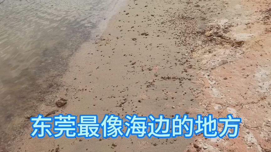 哪里有水哪里都是沙滩