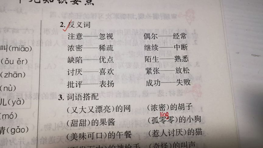 偶尔的反义词是什么三年级