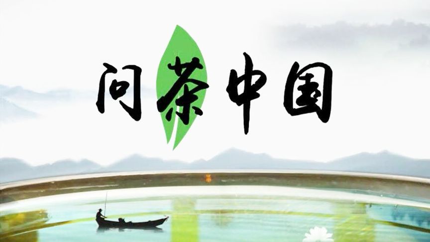 普洱茶哪个地方产的最好?,茶茶是哪里图2