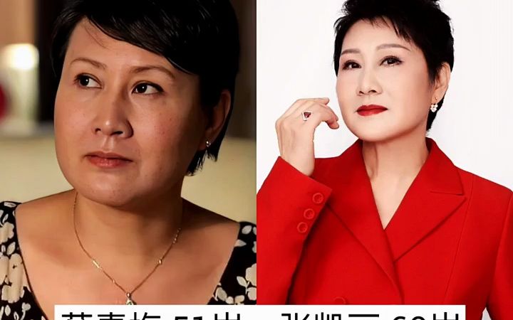 高圆圆咱们结婚吧演员表
