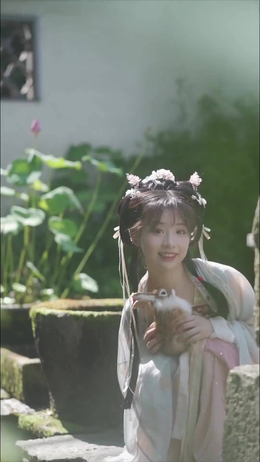 那种小说介绍