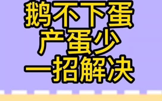 松花蛋治疗肠炎怎么吃(03/02更新)