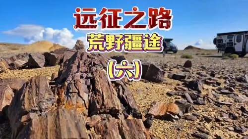 荒野远征第二季剧情
