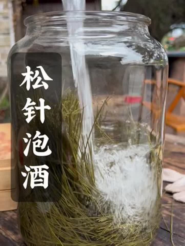 松针泡酒的功效与作用