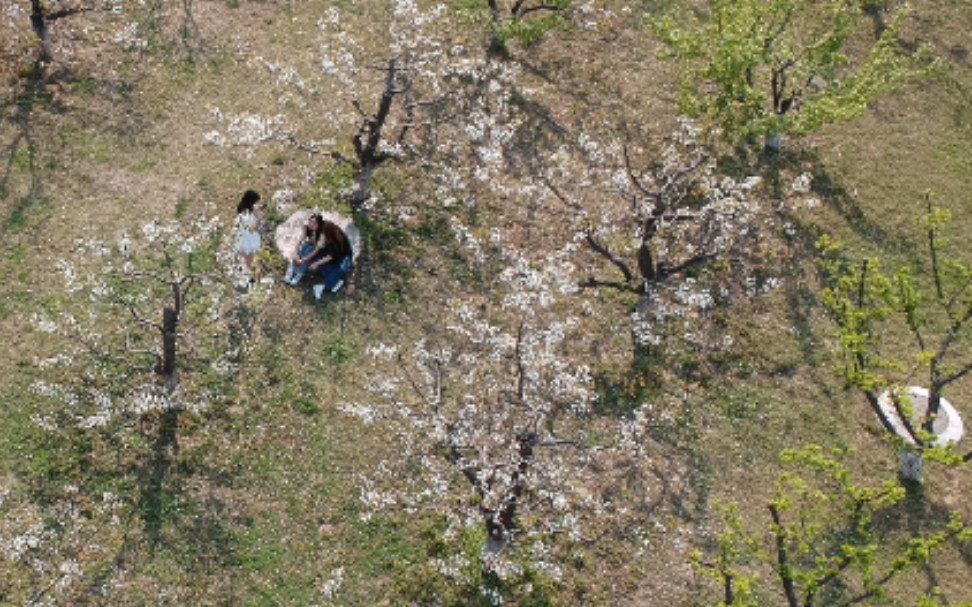 滨湖假日哪个小区好