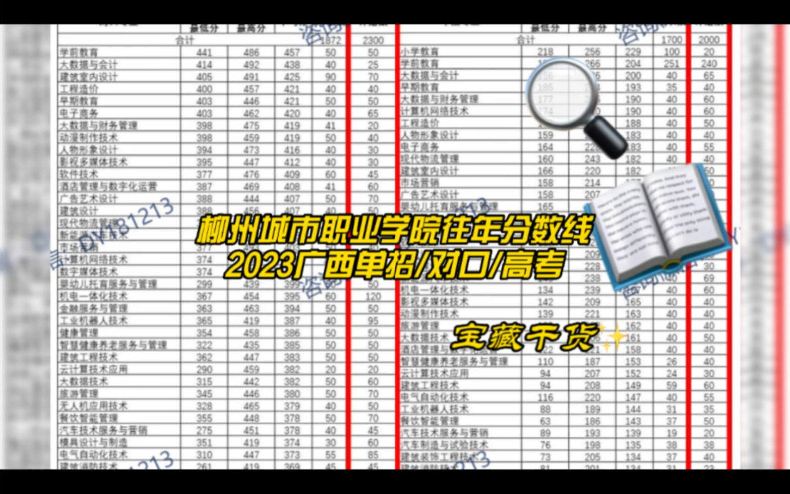 柳州城市职业学院分数线