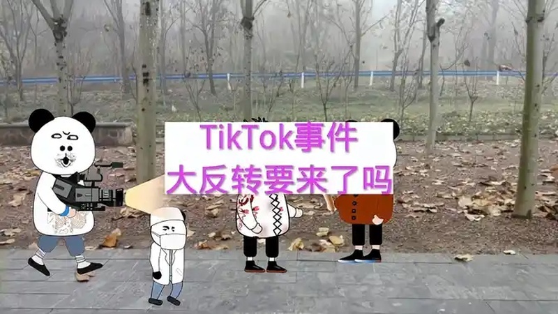 为什么中国人不能使用tiktok