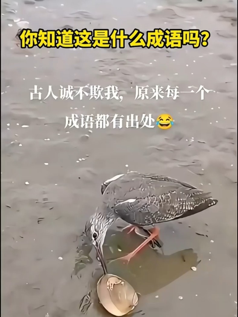 _嗫的成语_嗫的成语是什么