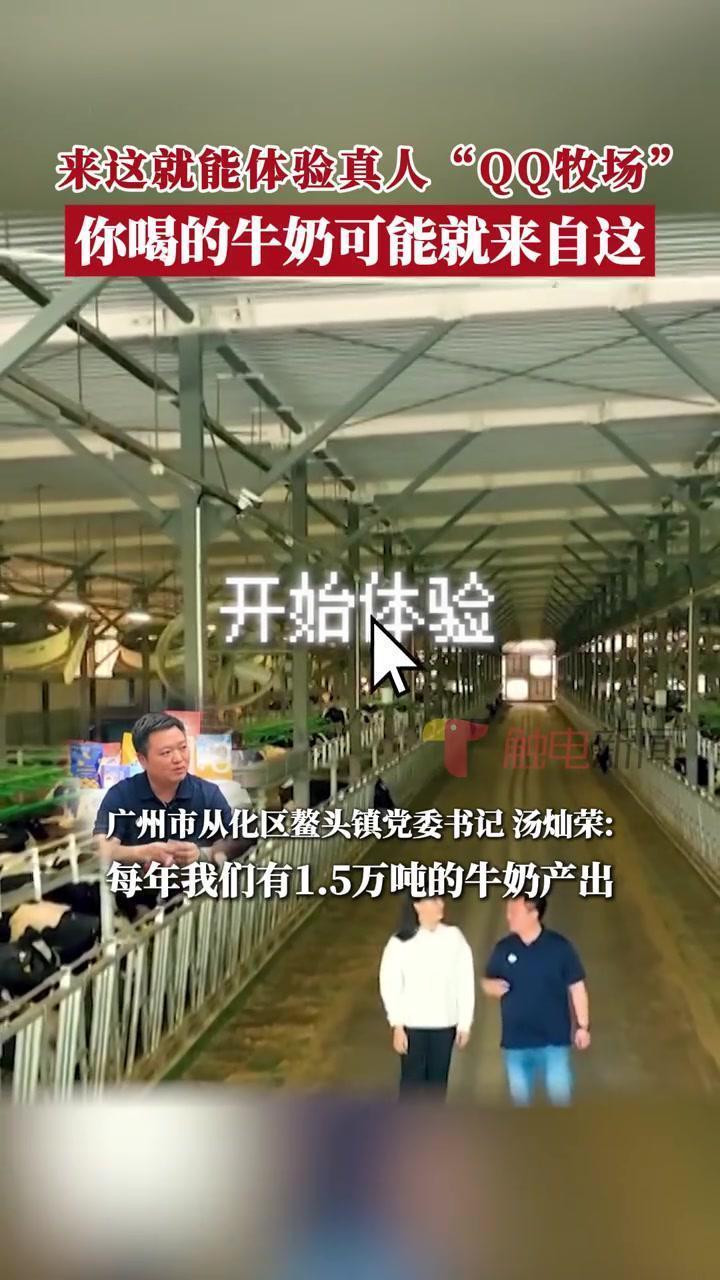 qq牧场怎么玩(07/03更新)
