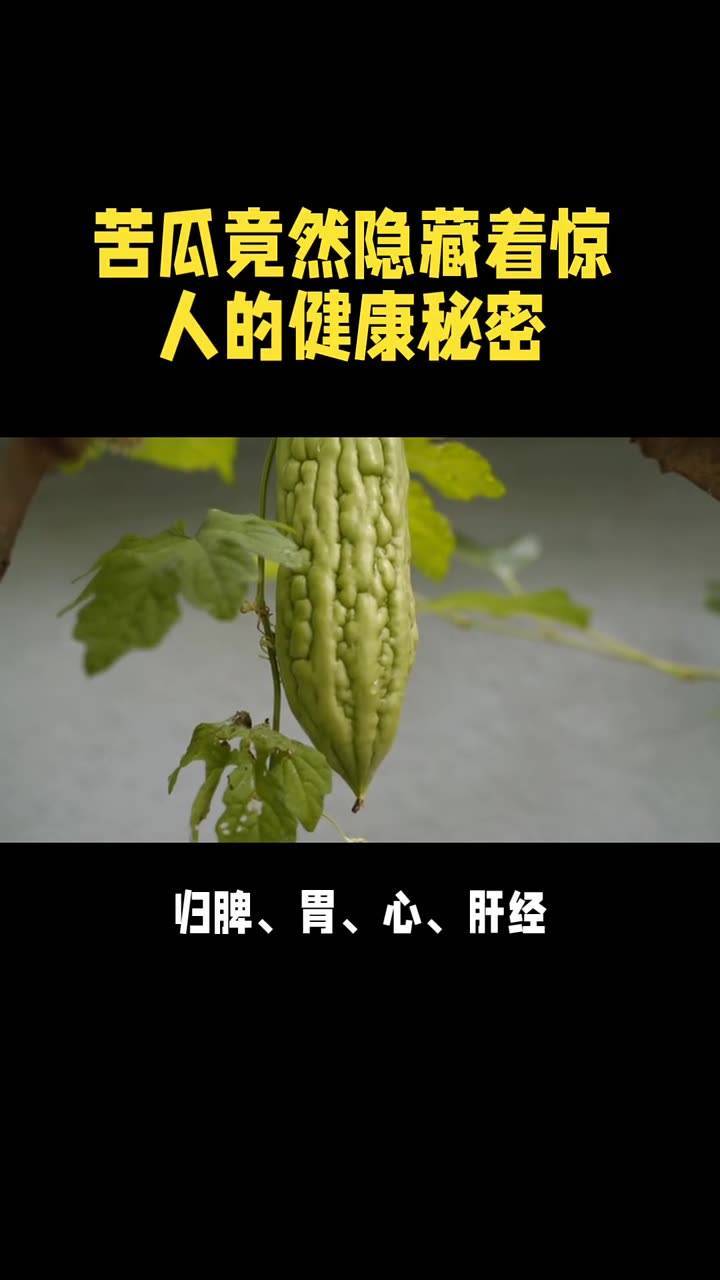 苦瓜的功效与作用及食用方法_苦瓜营养价值及功效？