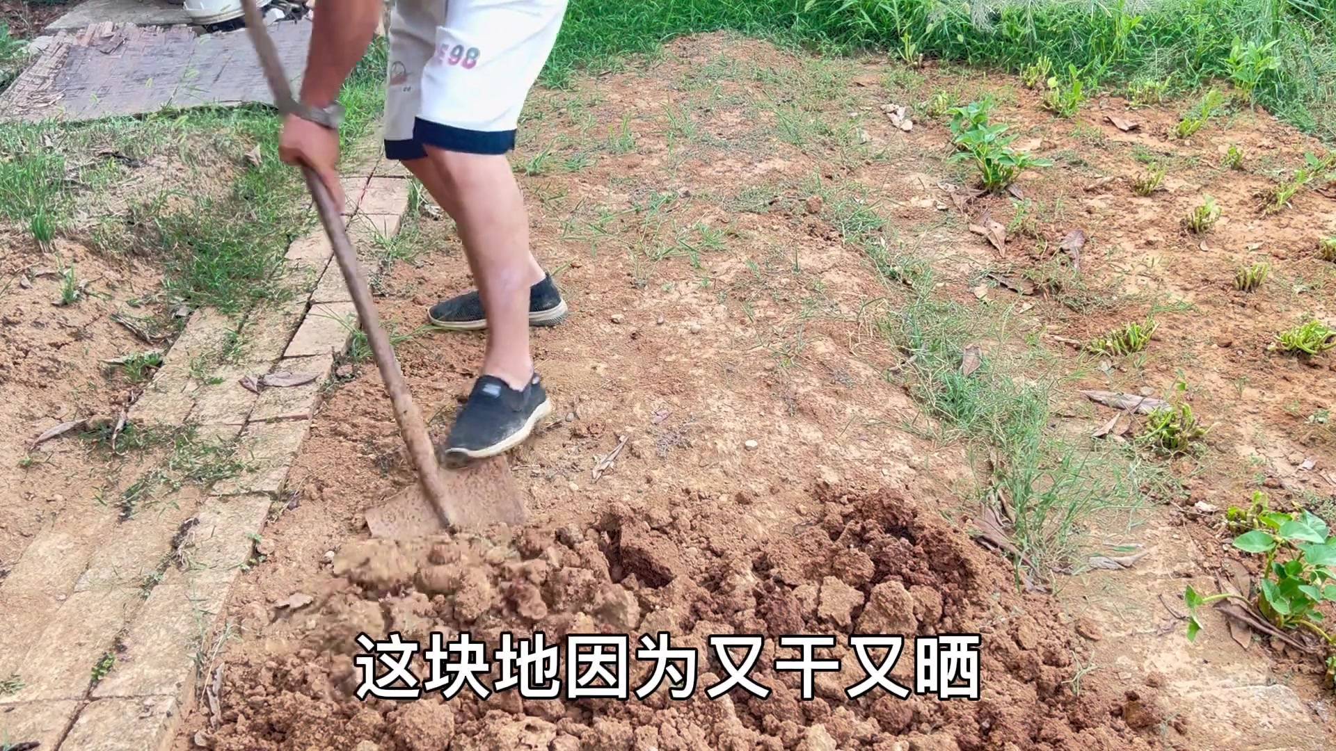 怎么除草翻地最快最有效