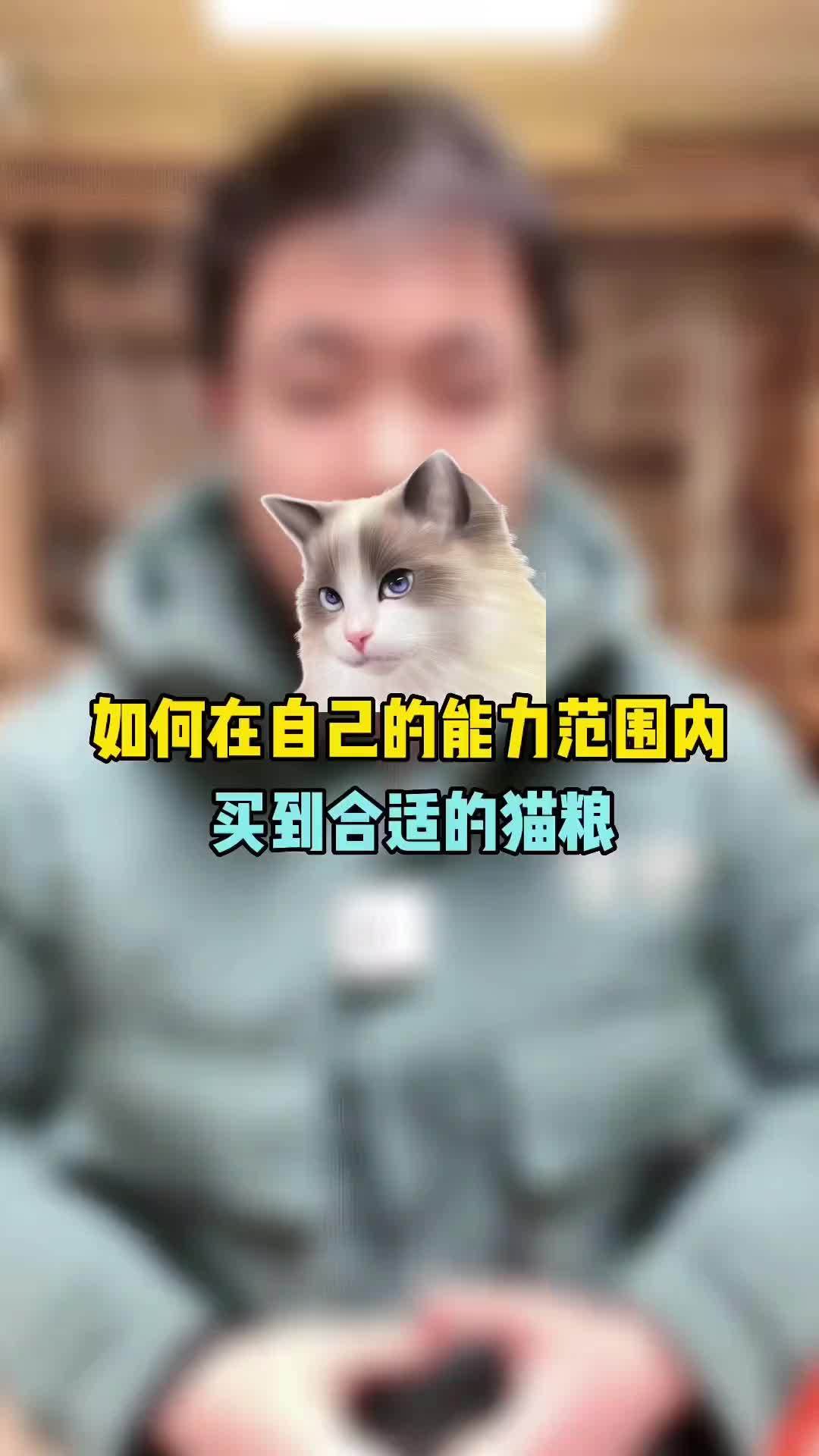 猫粮怎么买(01/08)