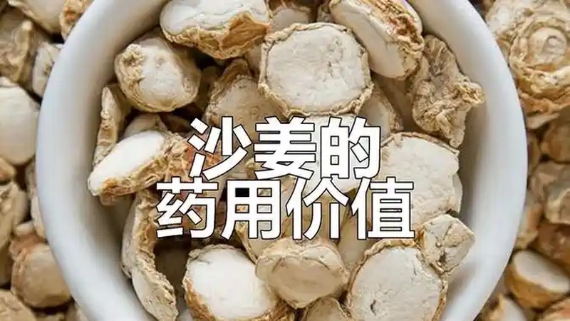 沙姜的功效与作用(03/23更新)