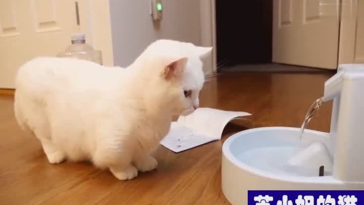 肾结石和肾结晶吃什么药