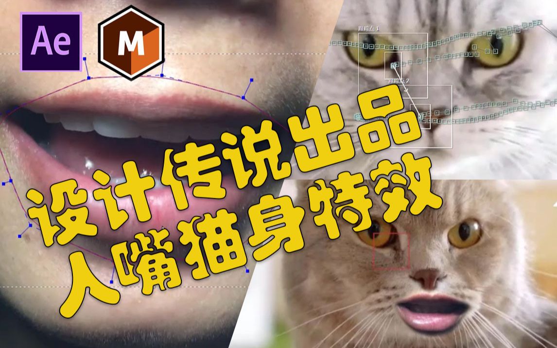 抖音猫脸人嘴(抖音里，真人变成卡通人物怎么弄的？)