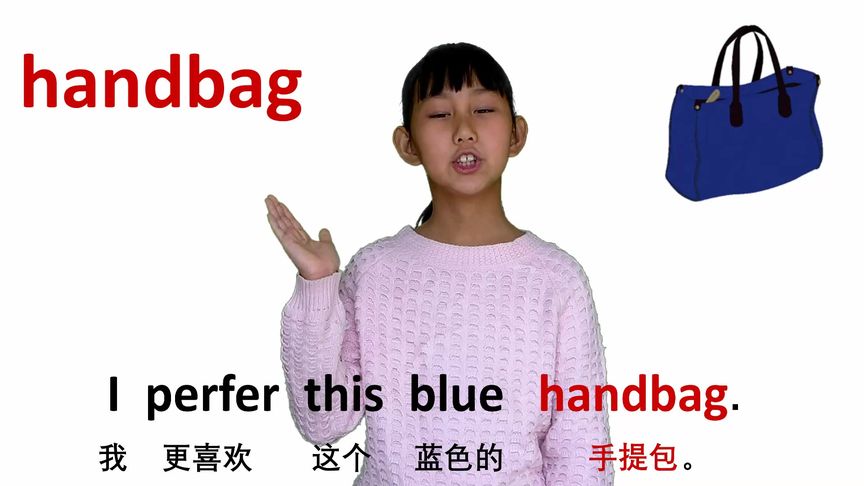 手提包的英语怎么说