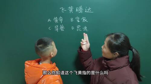 以飞第二个字的成语有什么有哪些