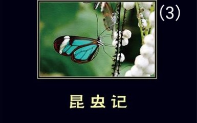 昆虫的装死赏析(02/14更新)