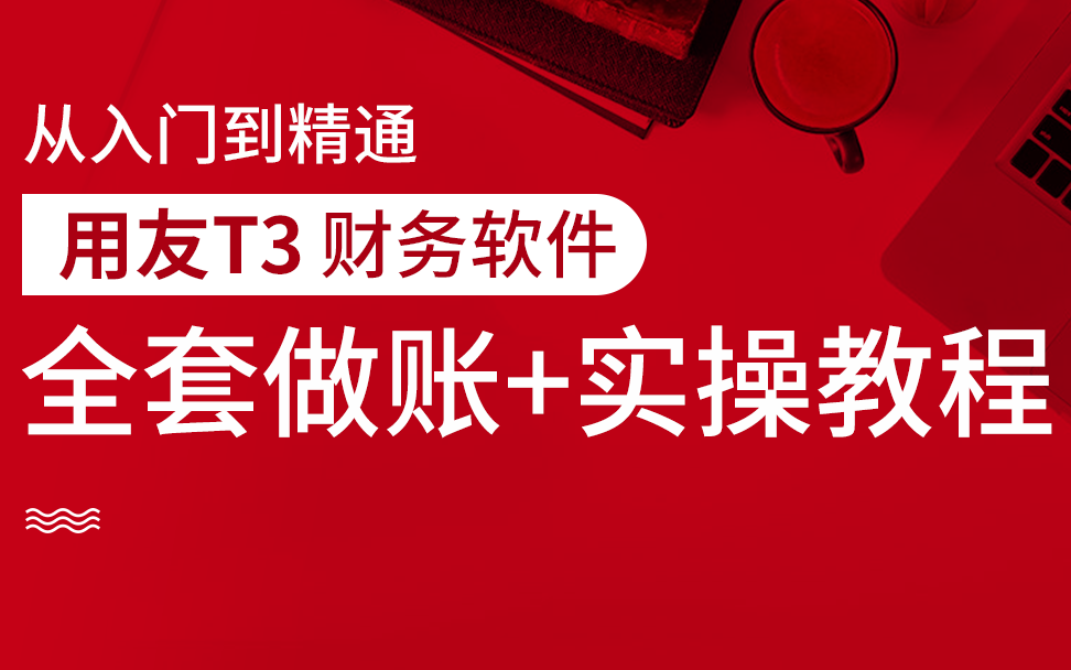 没有财务软件用什么做账(有没有联网用的记账软件？便宜点的！)