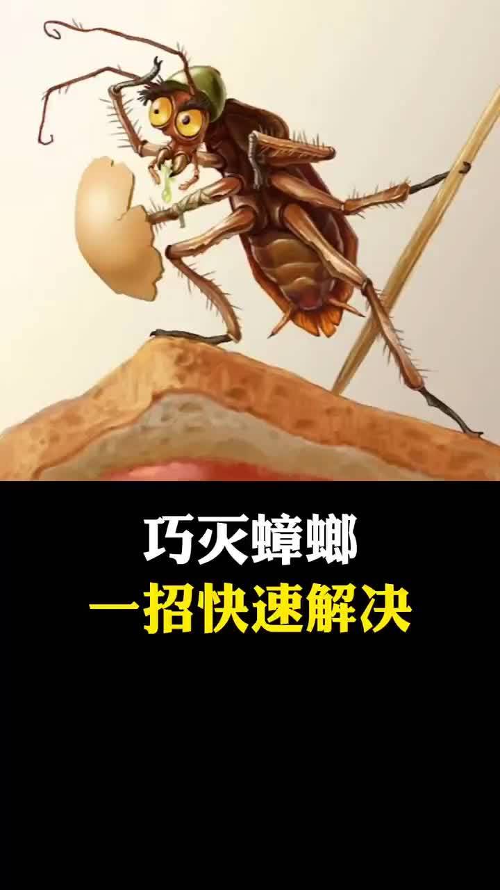 如何灭杀家里蟑螂最有效