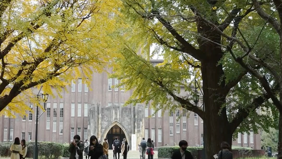 本科出国和研究生出去的差别？