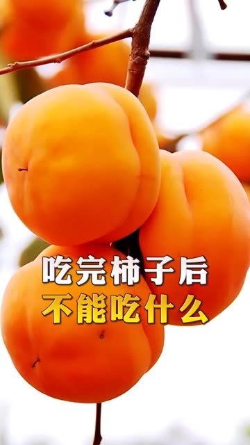 吃完柿子千万别碰5种食物