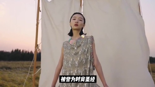 vogue是什么意思(07/06更新)
