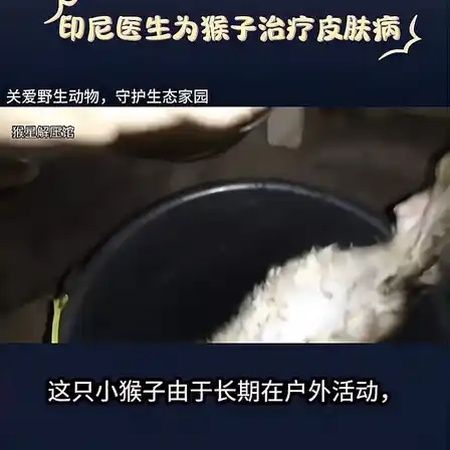 猴子皮肤病怎么治疗(人身上长一种叫"猴子"的东西是怎么回事?)