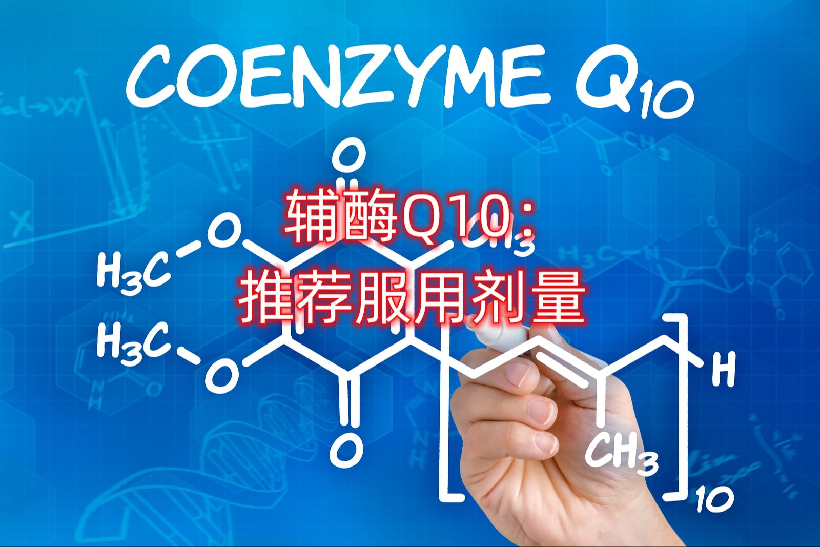 辅酶Q10的剂量一天是多少？(coq10的功效作用)