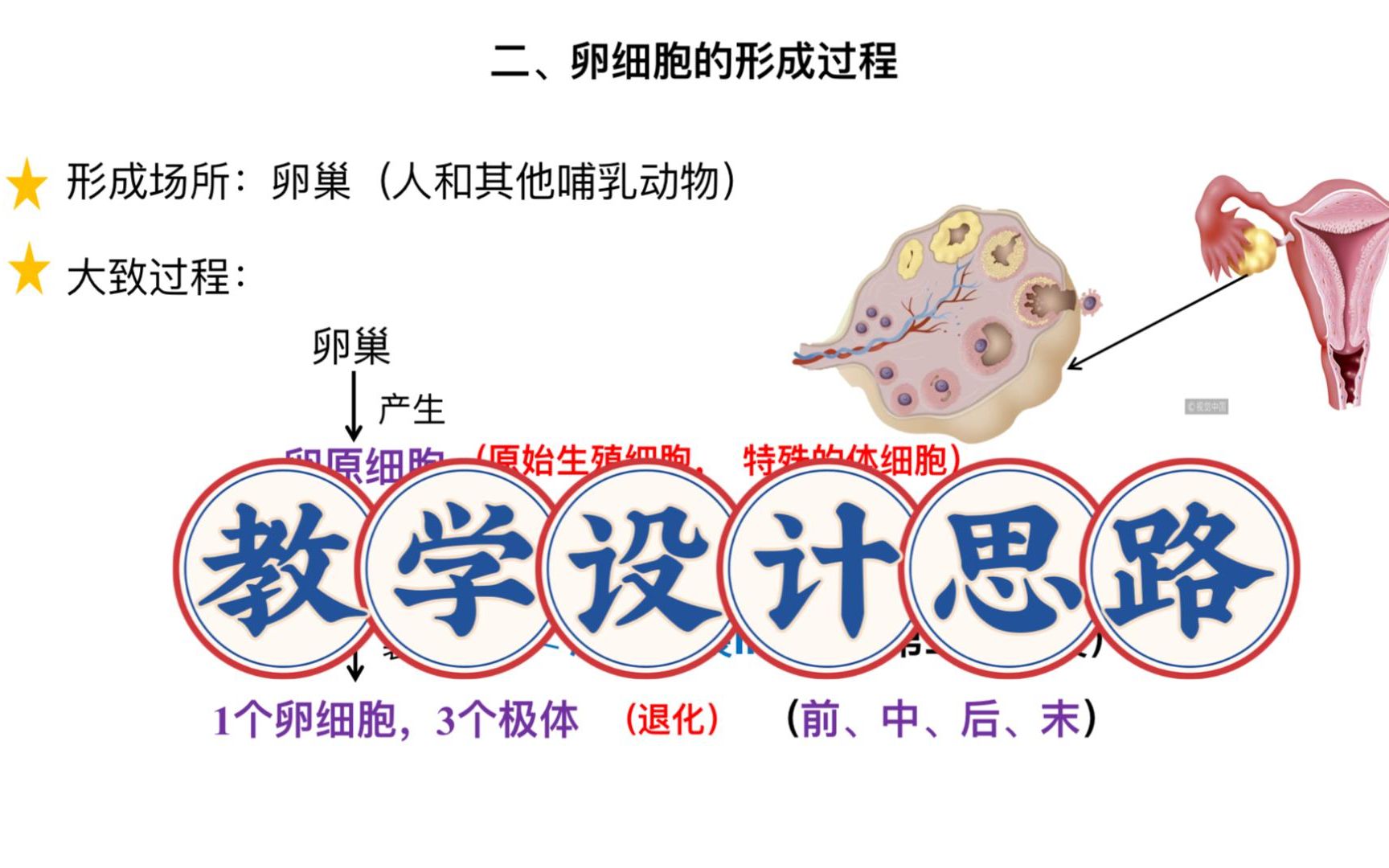 受精作用教学设计(02/25更新)