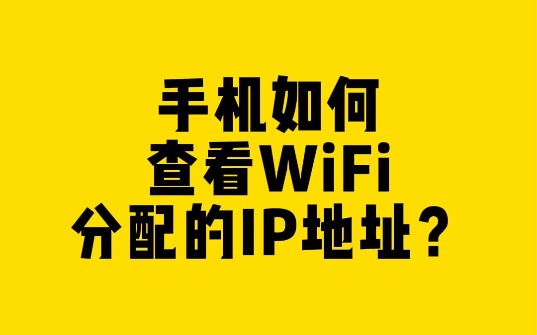 怎么查询wifi的ip地址？