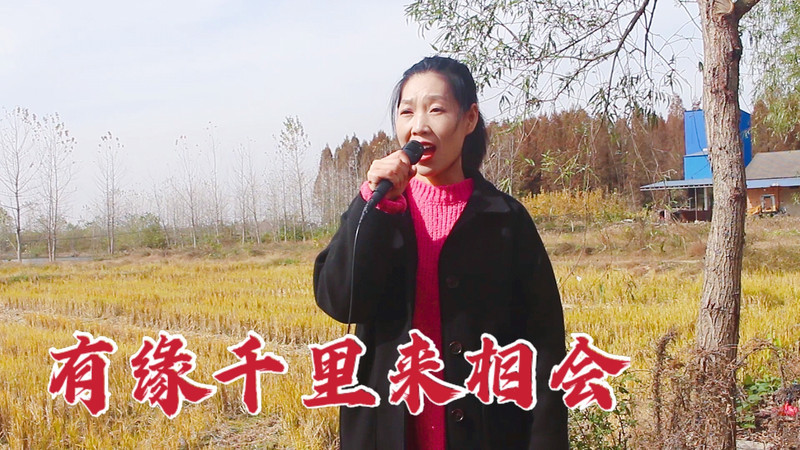 有缘千里能相会剧情