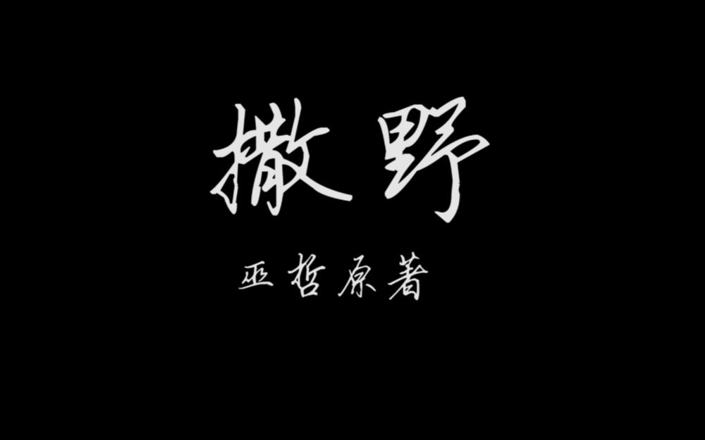 类似撒野的小说有哪些