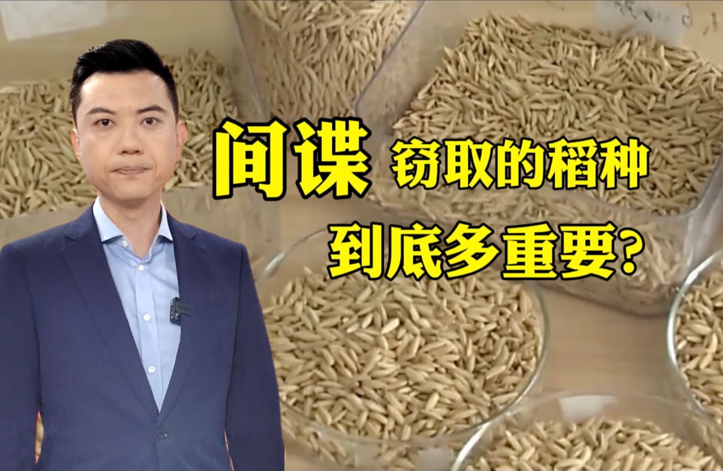 亲本