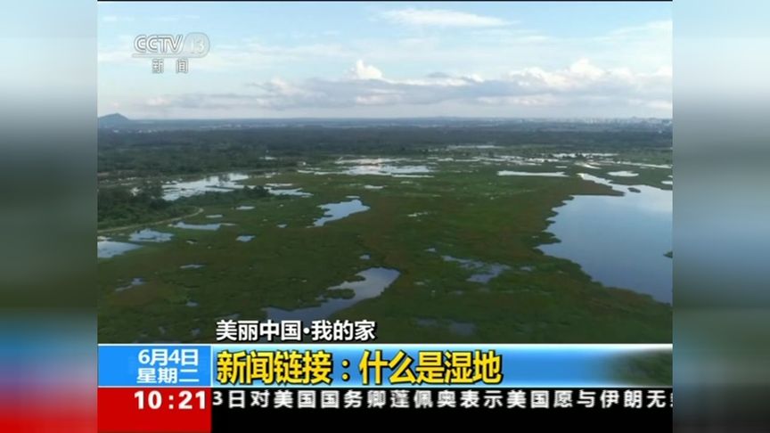 什么叫湿地